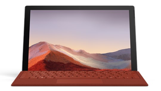 武定清洁和维护 Surface